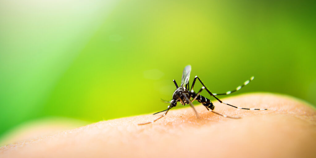 Symptoms of Malaria