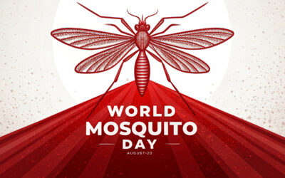 World Mosquito Day 2025