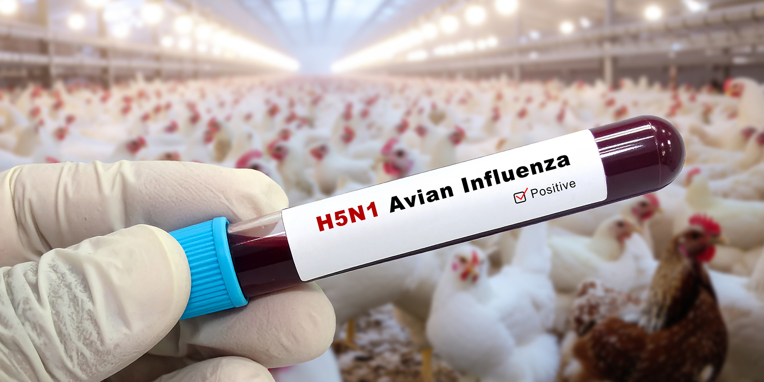 Avian Influenza (Bird Flu) Outbreak in Uttarakhand: H5N1, Causes, Symptoms & Treatment