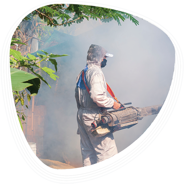 Why Choose Graphic Era Hospital for Dengue Treatment?