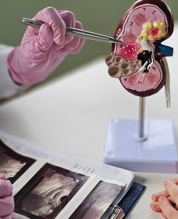 Paediatric Nephrology Hospital in Dehradun