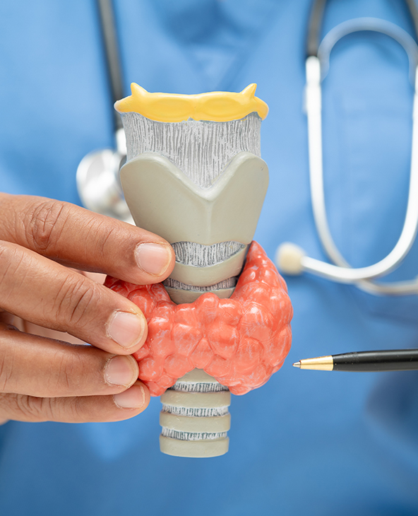 Hyperthyroidism Treatment in Dehradun