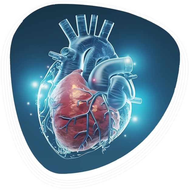 Why Choose Graphic Era Hospital for TAVI/TAVR