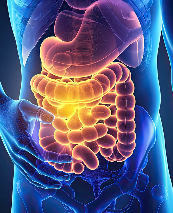 Gallstones (Cholelithiasis) Treatment in Dehradun