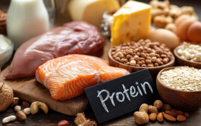 Protein Rich Diet
