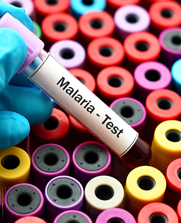 Malaria Treatment in Dehradun