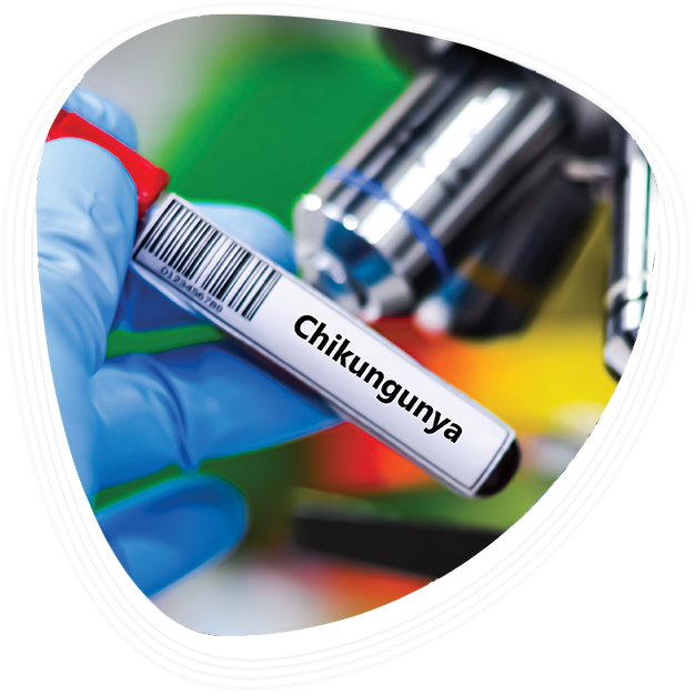 Why Choose Graphic Era Hospital, Dehradun, for Chikungunya Treatment