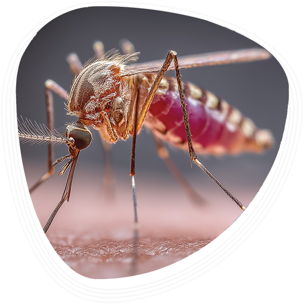 Why Choose Graphic Era Hospital for Malaria Treatment