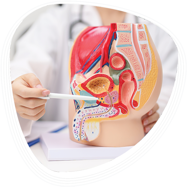 Why Choose Graphic Era Hospital for Benign Prostatic Hyperplasia Treatment
