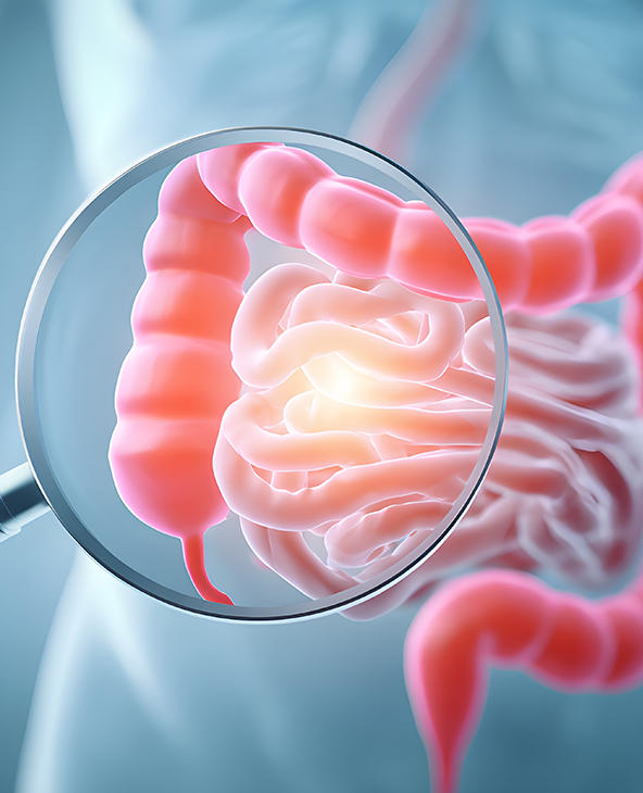 Lower Abdominal Pain Treatment in Dehradun
