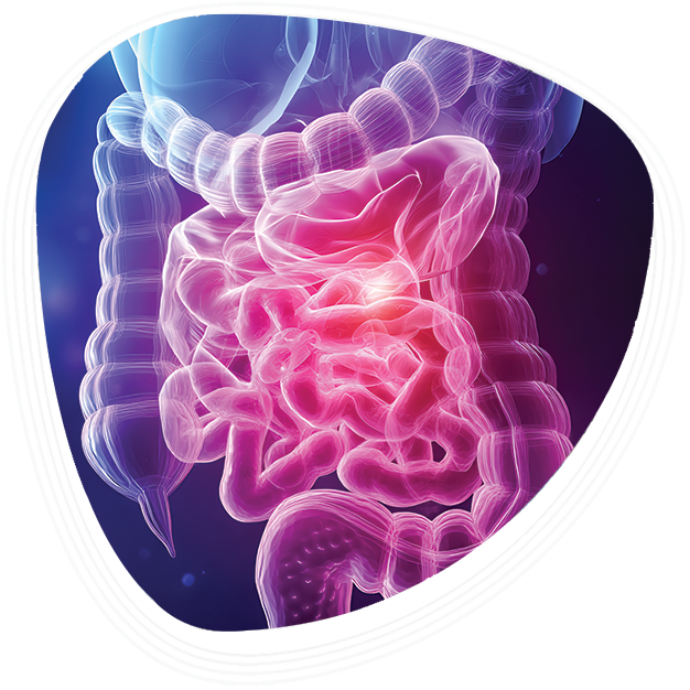Why Choose Graphic Era Hospital for IBS Treatment in Dehradun
