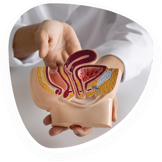 Why Choose Graphic Era Hospital for Posterior Urethral Valve Treatment