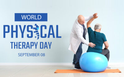 World Physiotherapy Day 2026